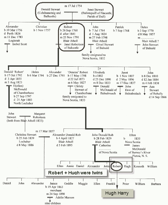 The Family Tree - Donald Stewart